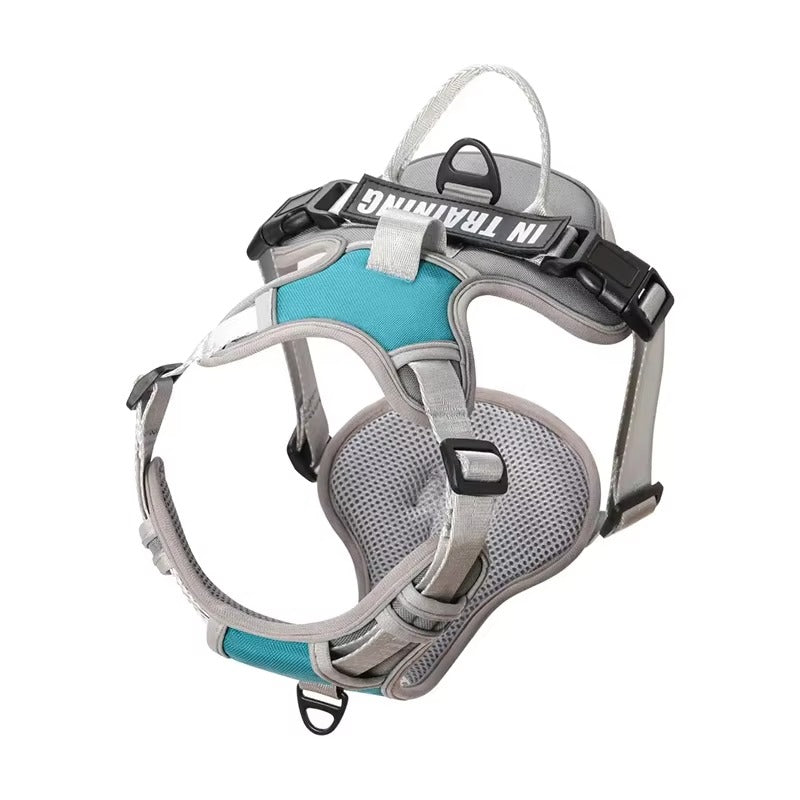 Supreme Dog Harness—Premium Streetwear-Inspired Pet Gear