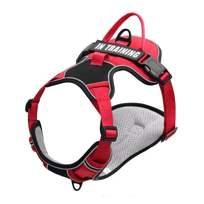 Supreme Dog Harness—Premium Streetwear-Inspired Pet Gear
