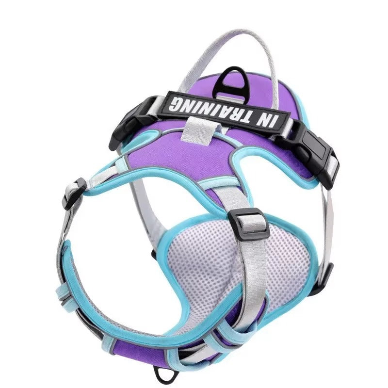 Supreme Dog Harness—Premium Streetwear-Inspired Pet Gear