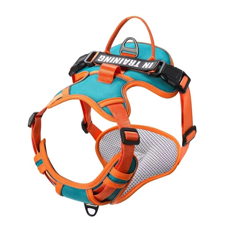 Supreme Dog Harness—Premium Streetwear-Inspired Pet Gear
