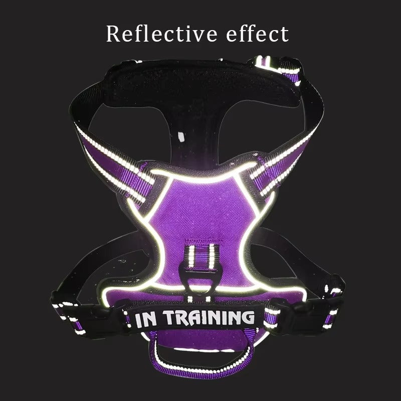 Supreme Dog Harness—Premium Streetwear-Inspired Pet Gear
