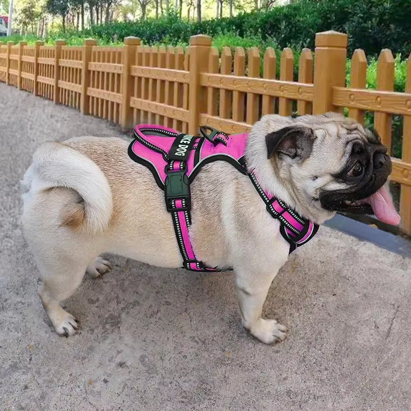 Supreme Dog Harness—Premium Streetwear-Inspired Pet Gear