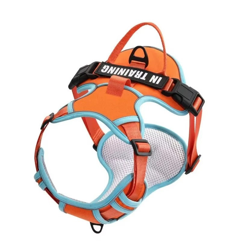 Supreme Dog Harness—Premium Streetwear-Inspired Pet Gear