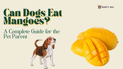 Can Dogs Eat Mangoes?