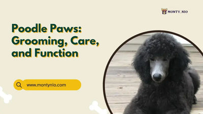 Poodle Paws Grooming, Care, and Function