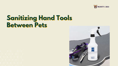 Sanitizing Hand Tools Between Pets: Important Devotion to Animal Hygiene