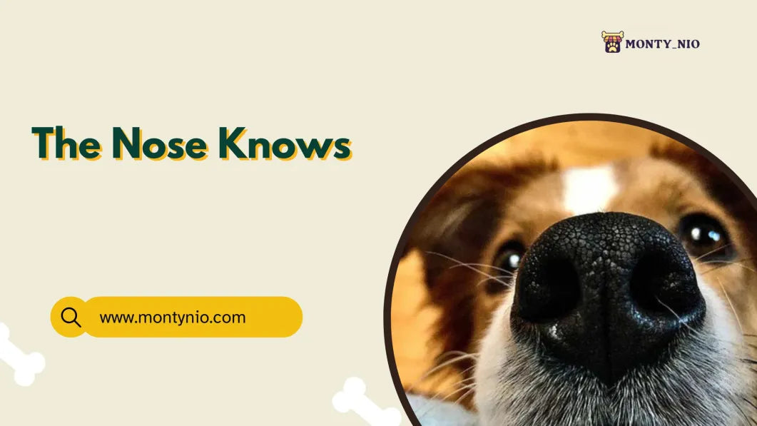The Nose Knows: Understanding a Dog's Incredible Sense of Smell
