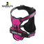 Supreme Dog Harness—Premium Streetwear-Inspired Pet Gear